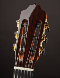 Esteve 8F Flamenco Spruce & Cypress
