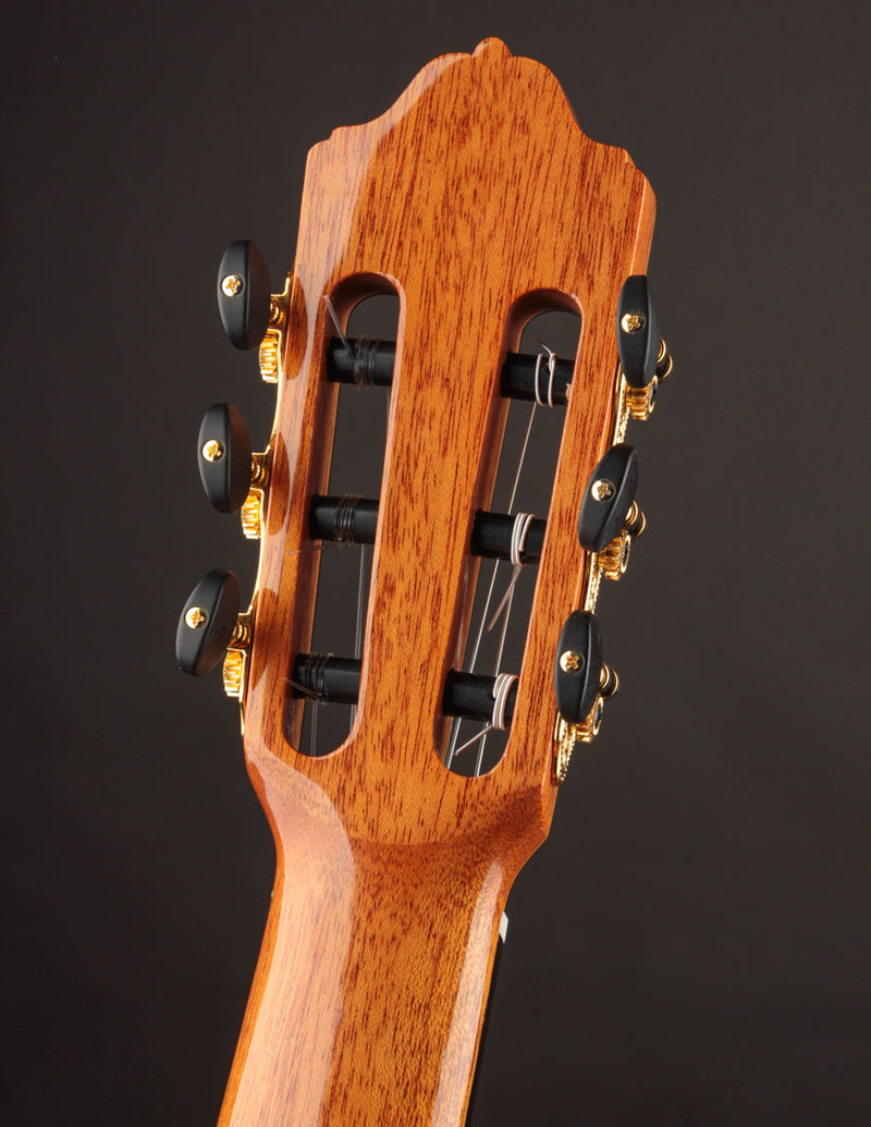 Esteve 8F Flamenco Spruce & Cypress