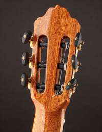 Esteve 8F Flamenco Spruce & Cypress