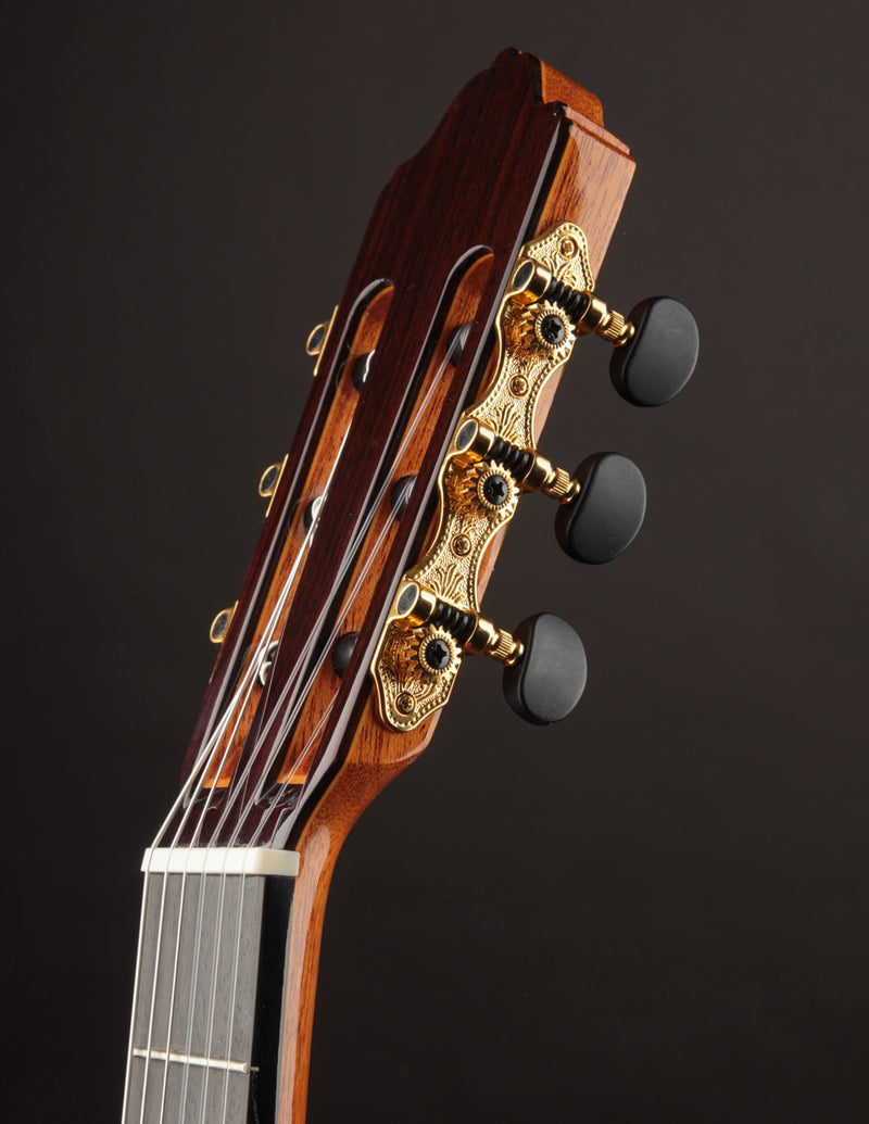 Esteve 8F Flamenco Spruce & Cypress