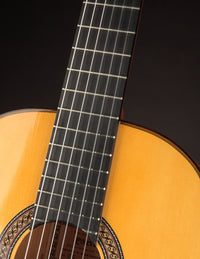 Esteve 8F Flamenco Spruce & Cypress