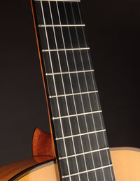 Esteve 8F Flamenco Spruce & Cypress