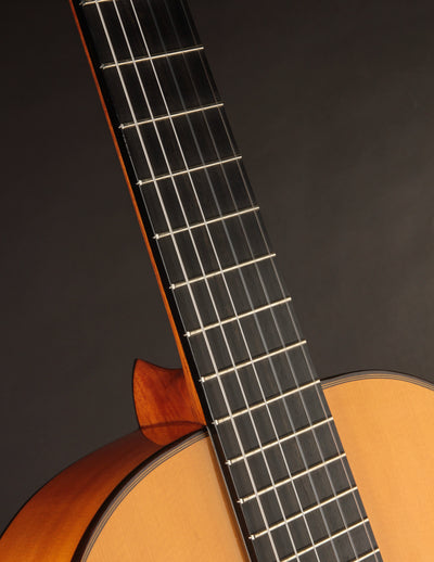 Esteve 8F Flamenco Spruce & Cypress