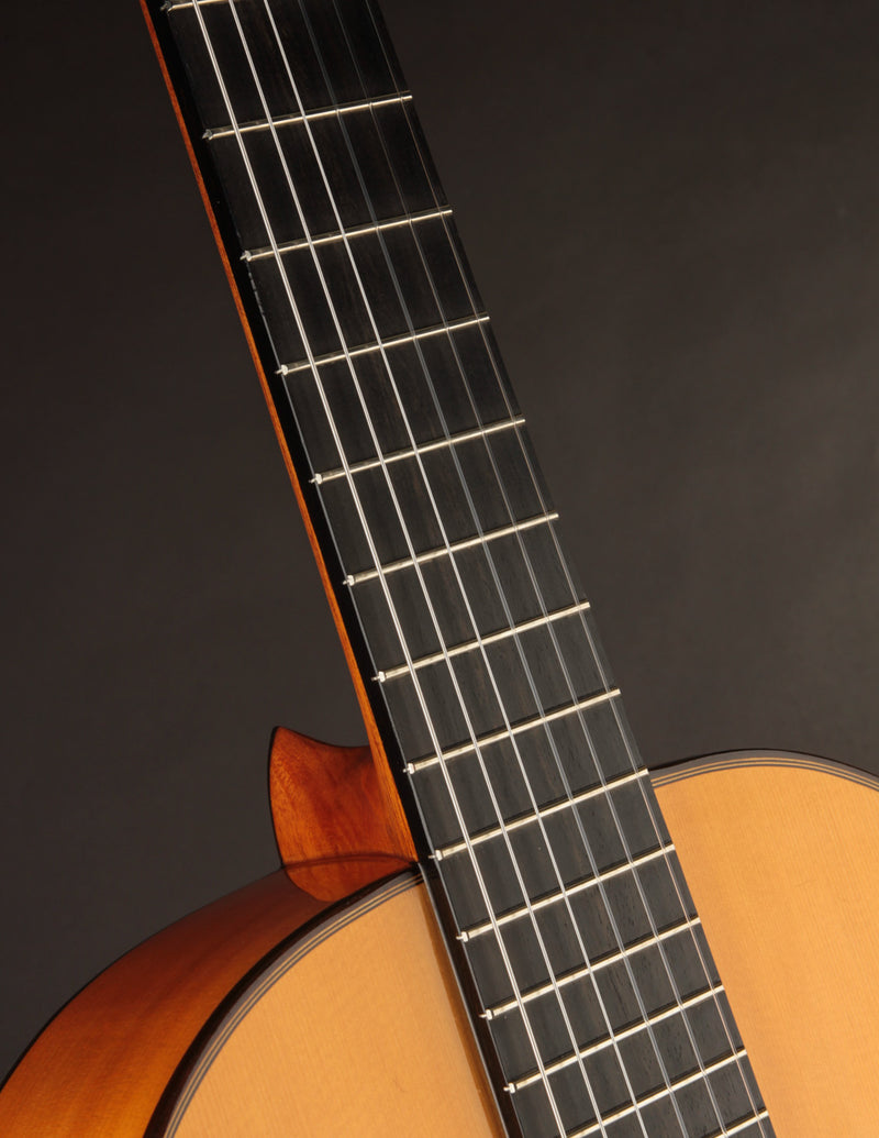 Esteve 8F Flamenco Spruce & Cypress