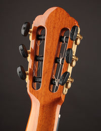 Esteve Hauser Spruce & Indian Rosewood