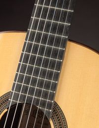 Esteve Hauser Spruce & Indian Rosewood