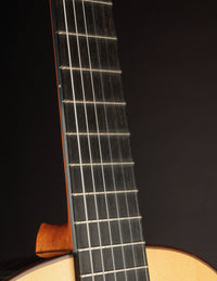 Esteve Hauser Spruce & Indian Rosewood