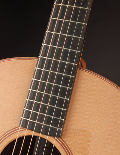 Lowden F-25 Indian & Cedar
