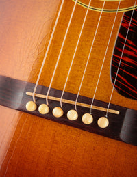 Fairbanks F-20 Nick Lucas Torrefied Spruce & Mahogany
