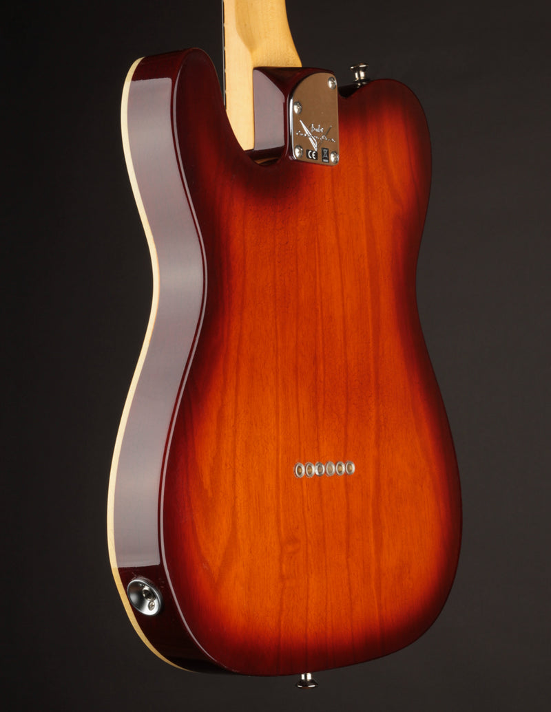 Fender Custom Shop Postmodern Tele Aged Violin Burst/DLX Closet Classic