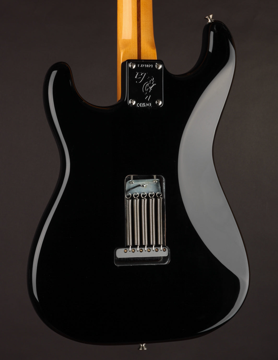 Fender Eric Johnson Stratocaster Black | The Music Emporium