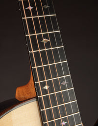 Froggy H-12 Deluxe Bearclaw German Spruce Cutaway