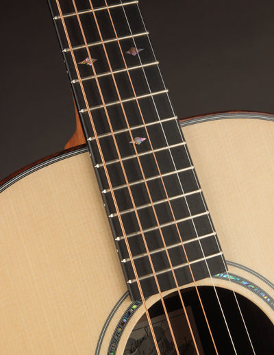 Froggy Bottom M Deluxe Rosewood