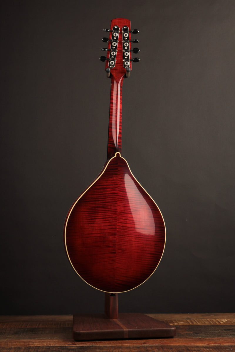 Girouard A5 Ensemble Engelmann & Red Maple Amber