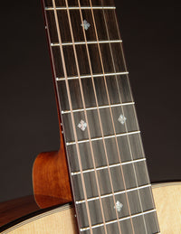 Goodall GC Palo Escrito & Bearclaw Sitka