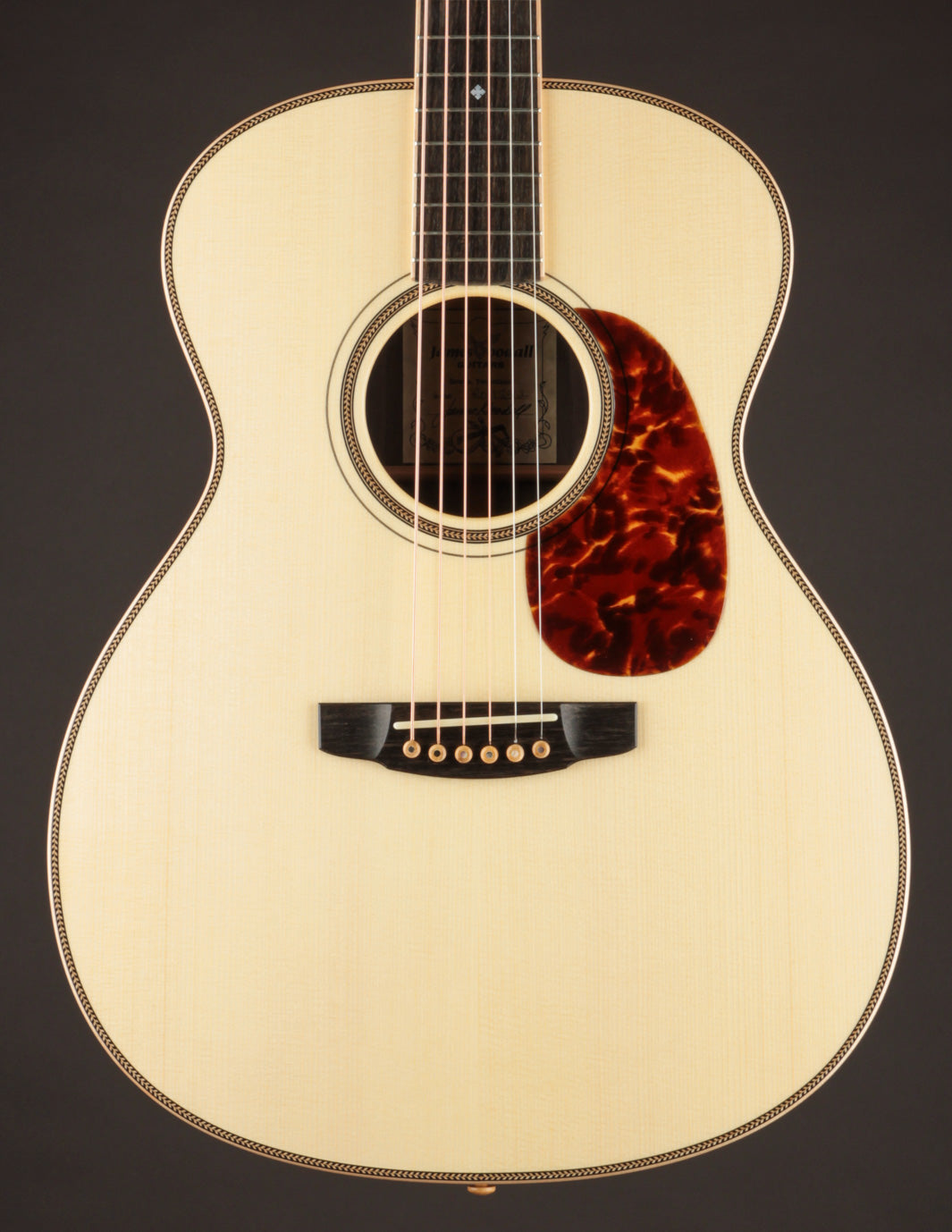 Goodall Traditional Rosewood OM Adirondack