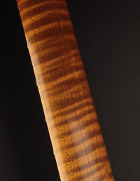 Close-up of the flamed roasted maple neck (back) with visible grain pattern on a dark background