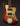 A sunburst offset Healy electric guitar with jazzmaster pickups and tremolo against a dark background.