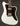 White offset Healy electric guitar with a tortoise colored pickguard against a dark background. 