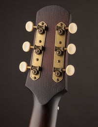 Iris DF Sunburst Adirondack Spruce