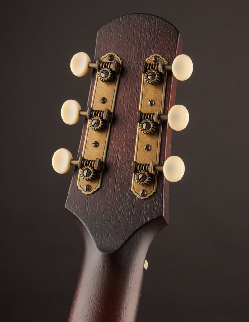 Iris MS-00 Sunburst Adirondack Spruce