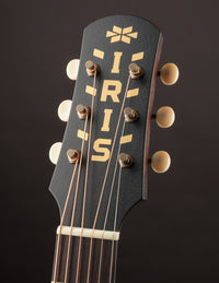 Iris MS-00 Sunburst Adirondack Spruce
