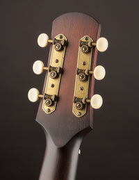 Iris MS-00 Sunburst Adirondack Spruce