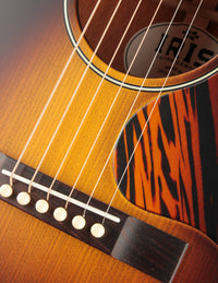 Iris MS-00 Sunburst Adirondack Spruce