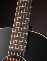 Iris MS-00 Sunburst Adirondack Spruce