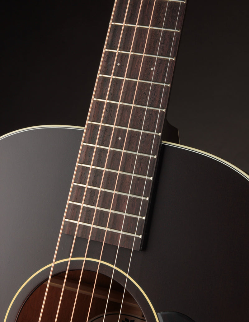 Iris MS-00 Sunburst Adirondack Spruce