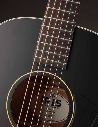 Iris MS-00 Sunburst Adirondack Spruce