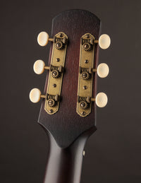 Iris OG Sunburst Adirondack Spruce