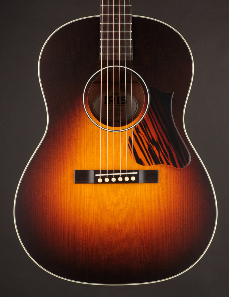 Iris OG Sunburst Adirondack Spruce