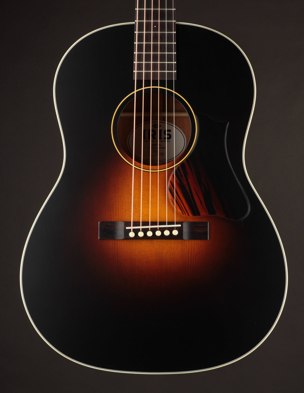 Iris OG Sunburst Adirondack Spruce