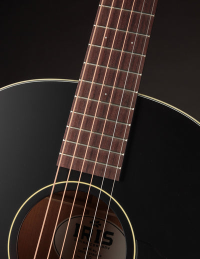 Iris OG Sunburst Adirondack Spruce