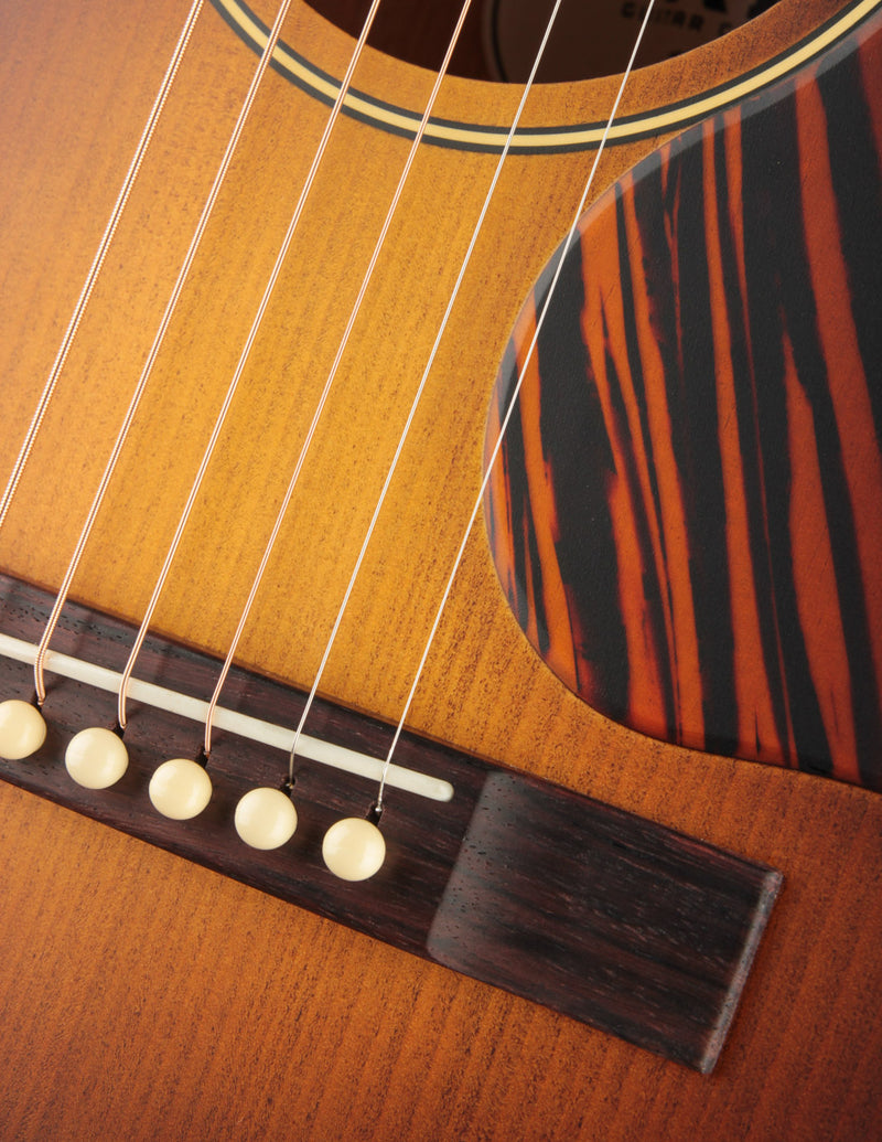 Iris OG Sunburst Adirondack Spruce