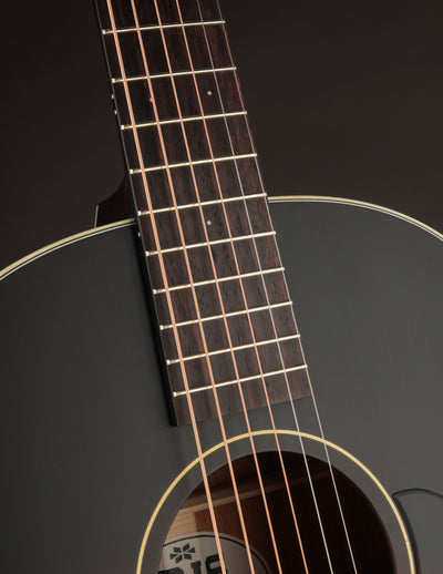 Iris OG Sunburst Adirondack Spruce