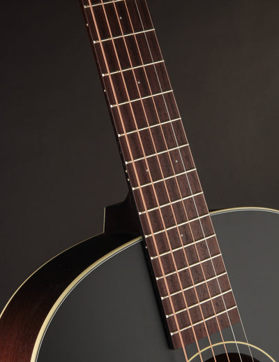 Iris OG Sunburst Adirondack Spruce