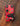 Jam Pedals Red Muck Fuzz mk.2