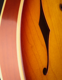 Josh Williams Guitars Hollowbird Royal Tan/Relic Worn