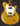 Gold electric guitar with a white pickguard on a dark background