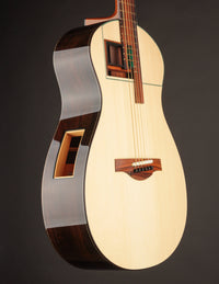 Raymond Kraut Desert Ironwood 00