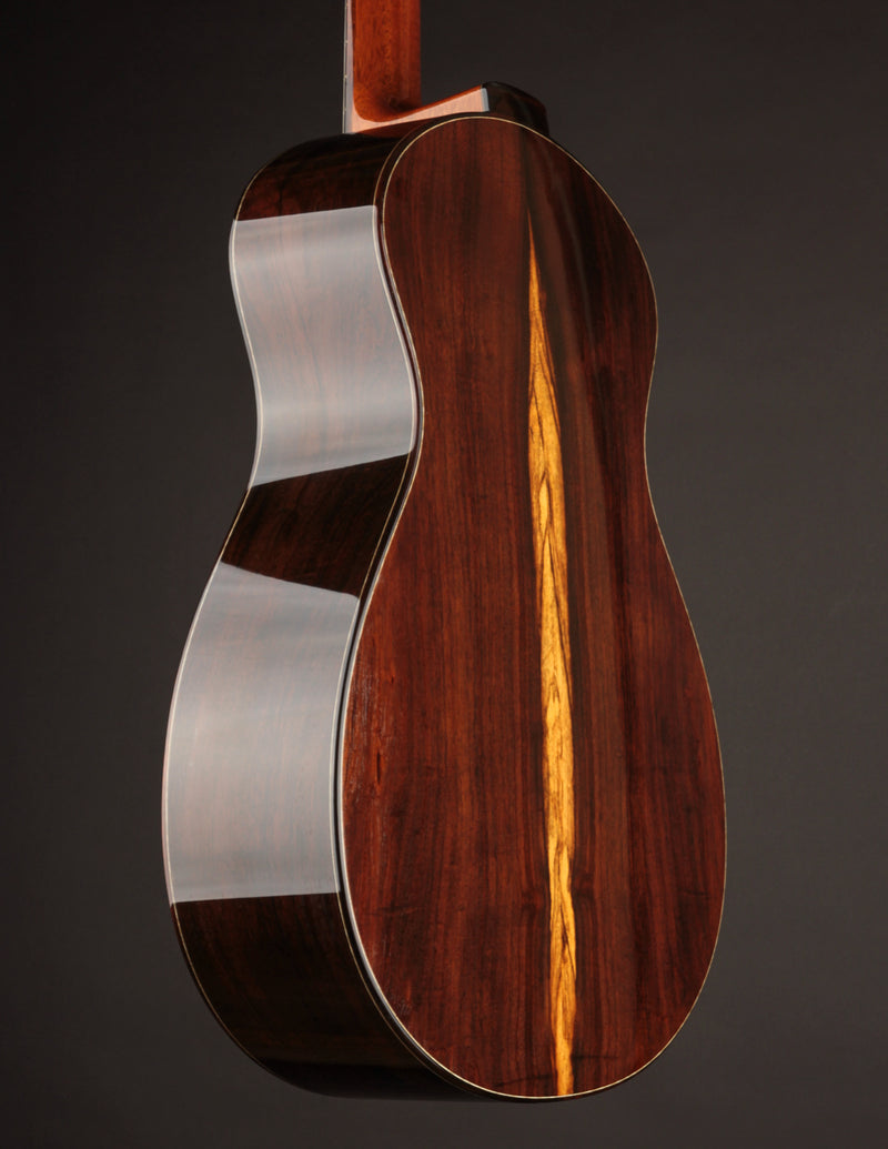 Raymond Kraut Desert Ironwood 00