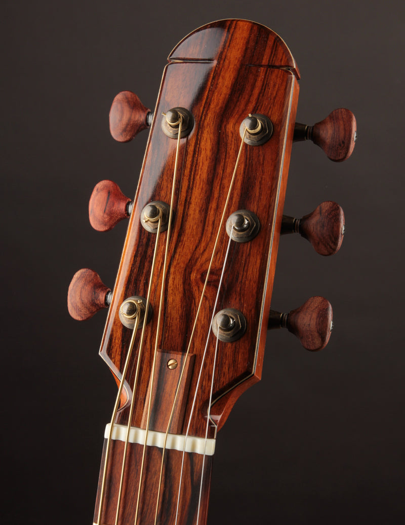 Raymond Kraut Desert Ironwood 00