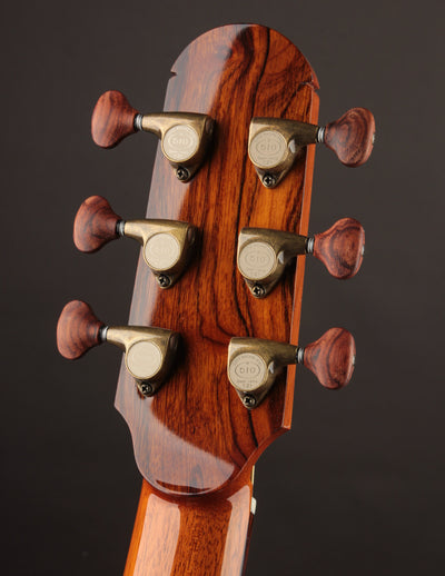 Raymond Kraut Desert Ironwood 00