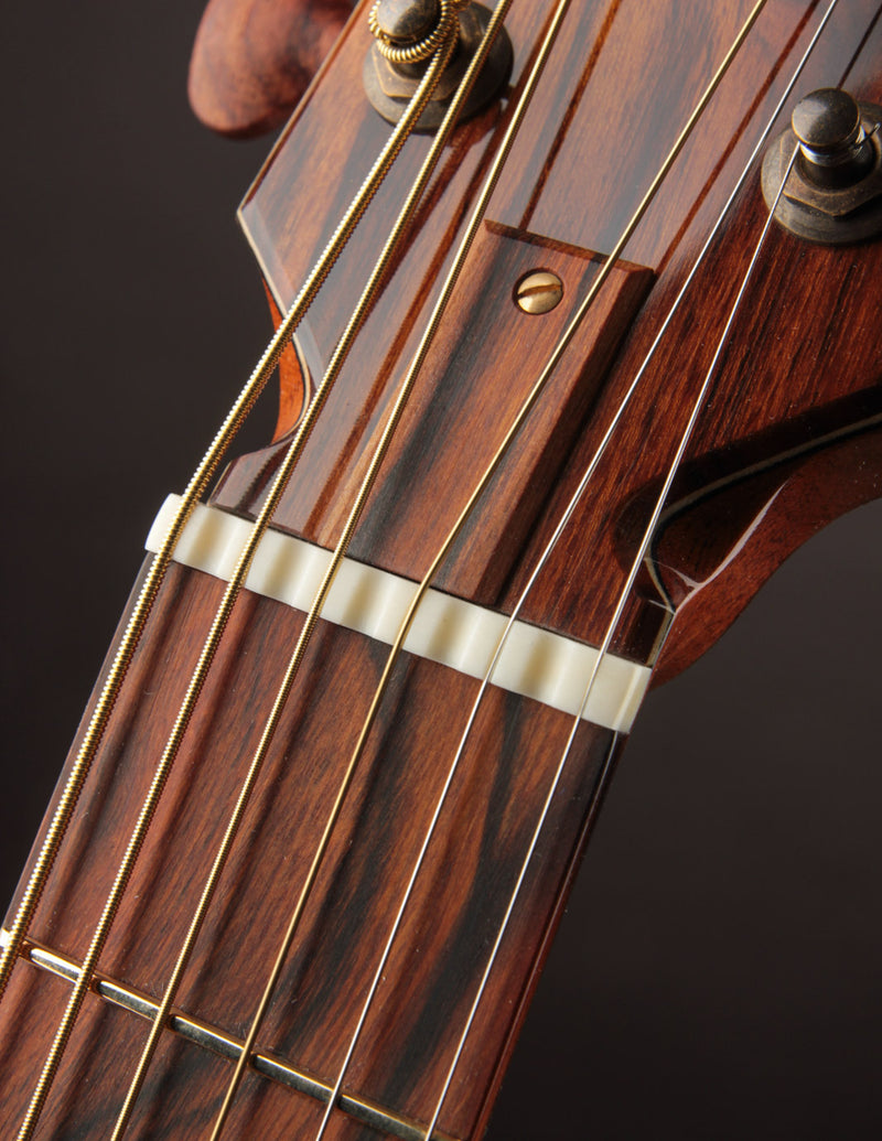 Raymond Kraut Desert Ironwood 00