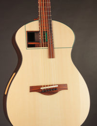 Raymond Kraut Desert Ironwood 00