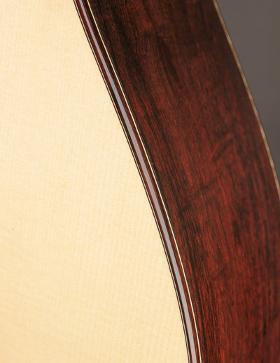 Raymond Kraut Desert Ironwood 00