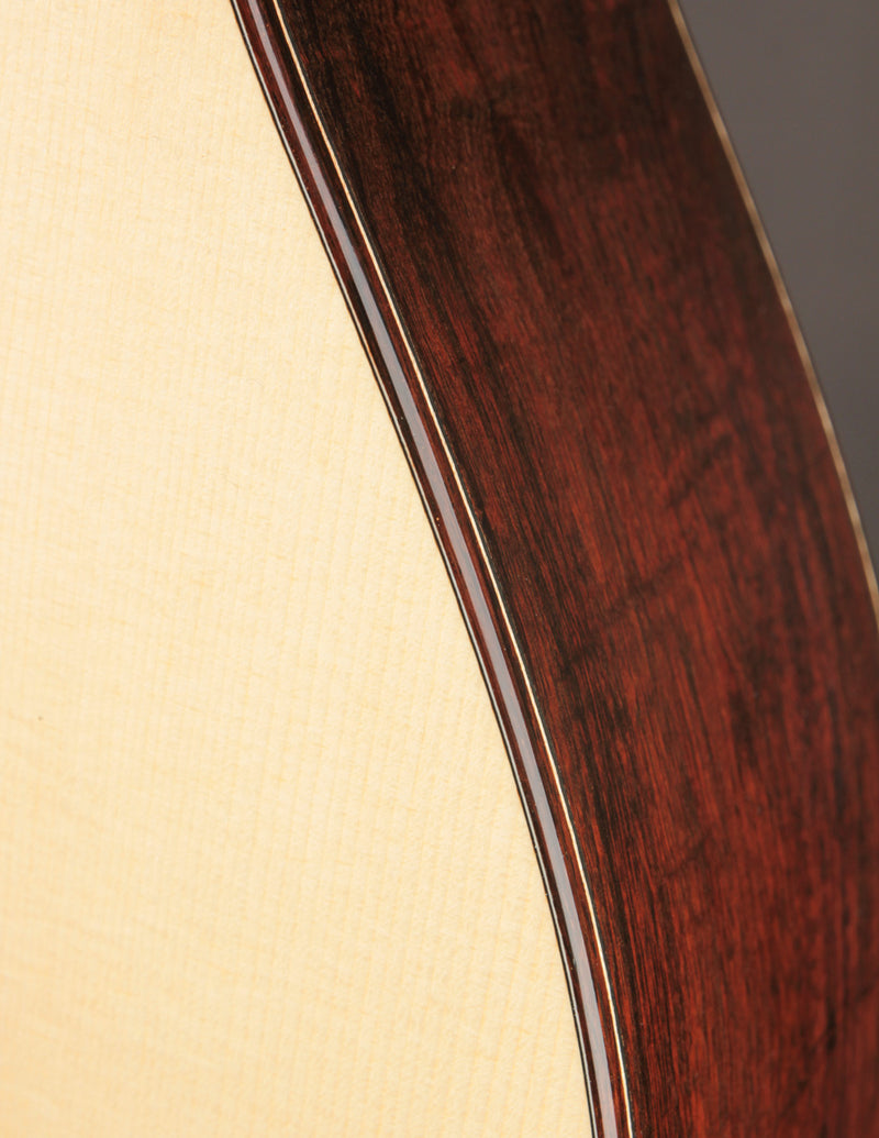 Raymond Kraut Desert Ironwood 00