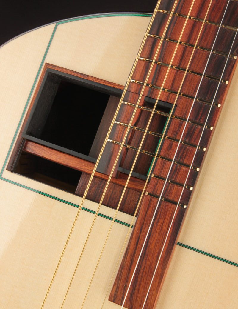 Raymond Kraut Desert Ironwood 00